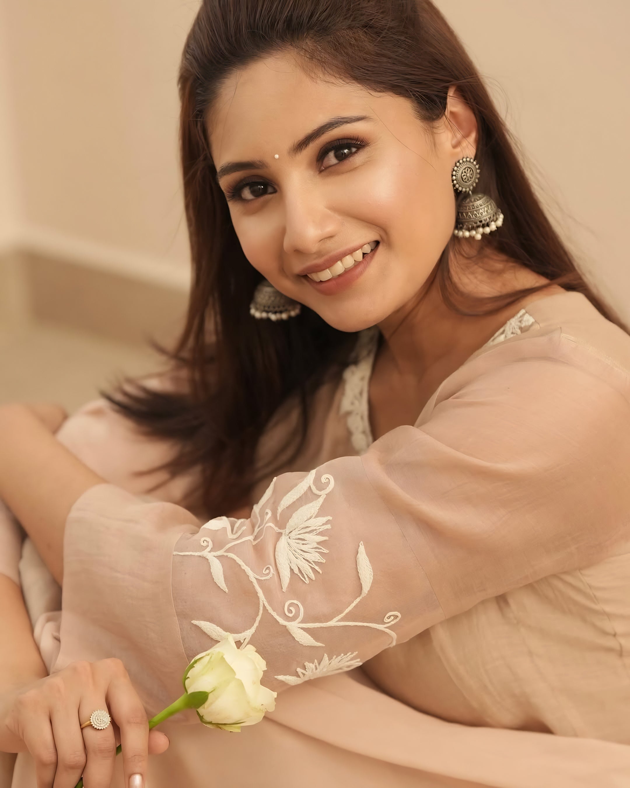 Brown Embroidered Suit Set